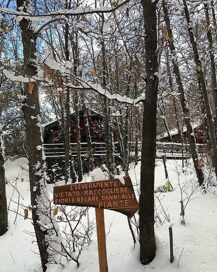 Chalet Etna ميلو المظهر الخارجي الصورة
