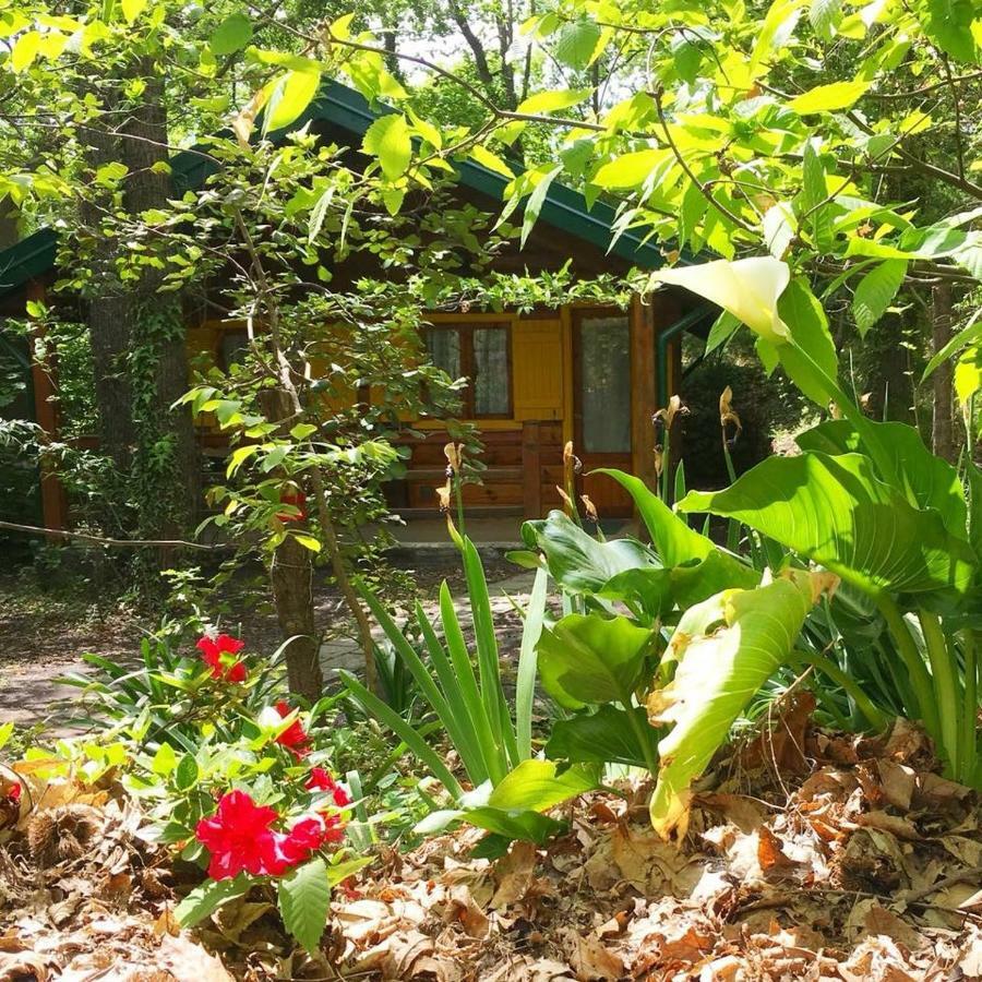 Chalet Etna ميلو المظهر الخارجي الصورة